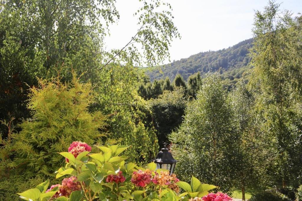 Heather House Laragh Zewnętrze zdjęcie